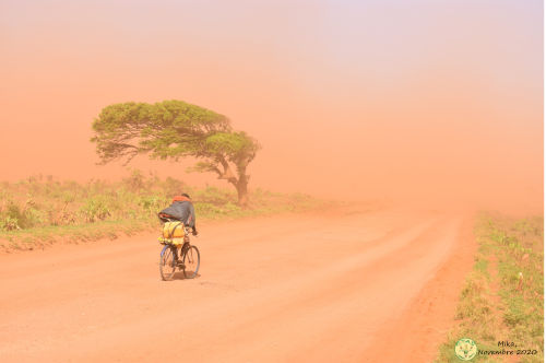 Le "Tio-mena" ou littéralement "vent rouge" est une forte rafale de vent qui emporte les particules fines du sol sablonneux du sud de Madagascar.