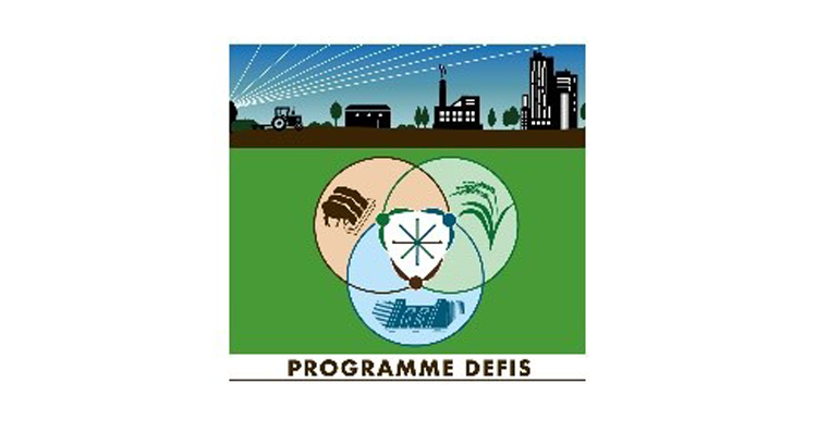 DEFIS