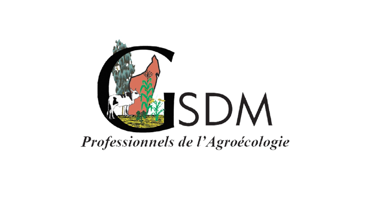 GSDM