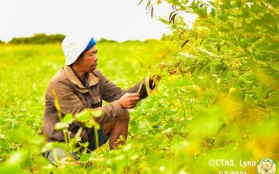RENFORCER LA CAPACITÉ DES AGRICULTEURS LOCAUX SUR LA PROTECTION DE LEURS CULTURES