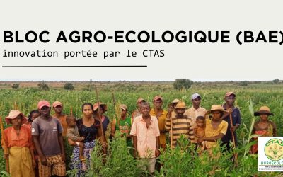 Comment le Bloc Agro-Écologique (BAE) se pose comme remède face aux défis environnementaux du sud de Madagascar ?