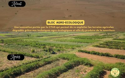 Quand l’agroécologie génère….. des revenus et de l’espoir pour les enfants!!!!