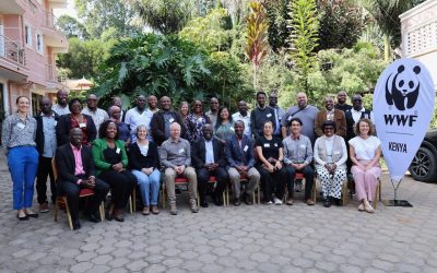 CTAS a participé à l’Africa Agroecology Regional Exchange pour partager l’expérience malgache en agroécologie